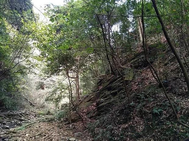 法烧友丨他翻越栏杆不顾危险,只为救下你!